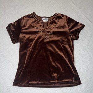 Brown Velvet Short-Sleeve Top with Embroidered Detail